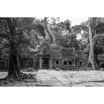 Lais Puzzle - Ta Prohm-Tempel in Angkor Kambodscha Asien in schwarz weiß - 2.000 Teile