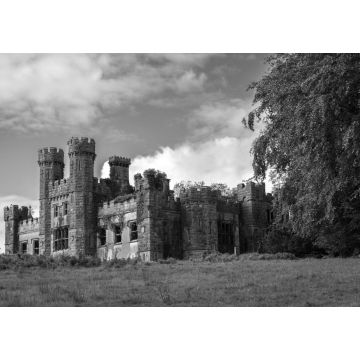Lais Puzzle - Schloss Saunderson bei Belturbet, Grafschaft Cavan, Irland in schwarz weiß - 1.000 Teile