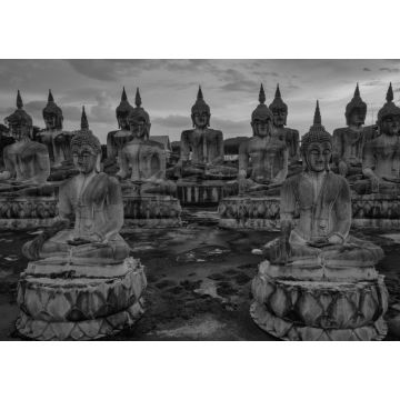 Lais Puzzle - Viele Buddha-Statuen bei Sonnenuntergang im Süden Thailands in schwarz weiß - 1.000 Teile