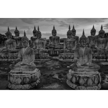 Lais Puzzle - Viele Buddha-Statuen bei Sonnenuntergang im Süden Thailands in schwarz weiß - 2.000 Teile