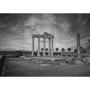 Lais Puzzle - Apollo-Tempel in schwarz weiß - 1.000 Teile