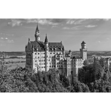 Lais Puzzle - Das Schloß Neuschwastein im Schwangau, Bayern, Deutschland in schwarz weiß - 2.000 Teile