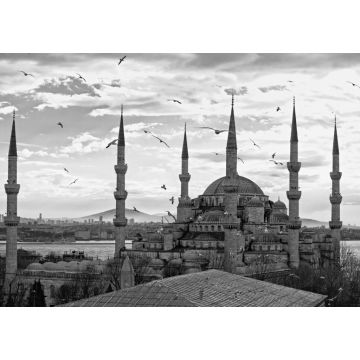 Lais Puzzle - Die Blaue Moschee, Istanbul, Türkei in schwarz weiß - 1.000 Teile