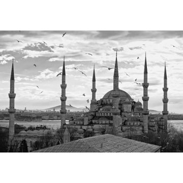 Lais Puzzle - Die Blaue Moschee, Istanbul, Türkei in schwarz weiß - 2.000 Teile