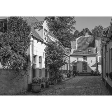 Lais Puzzle - Kleine Straße mit alten kleinen und authentischen Häusern und Blumen im Zentrum von Elburg in den Niederlanden in schwarz weiß - 1.000 Teile