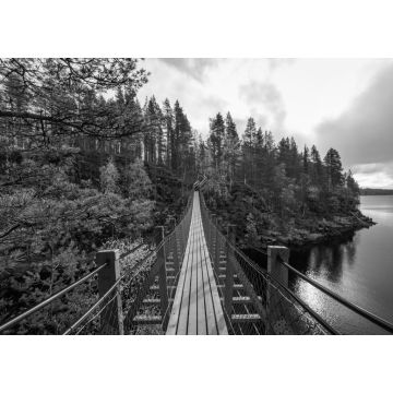 Lais Puzzle - Hängebrücke im Herbstwald, Oulanka-Nationalpark, Finnland in schwarz weiß - 1.000 Teile