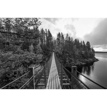 Lais Puzzle - Hängebrücke im Herbstwald, Oulanka-Nationalpark, Finnland in schwarz weiß - 2.000 Teile