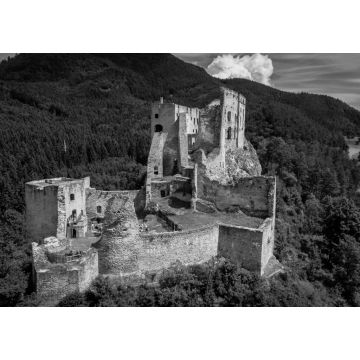 Lais Puzzle - Luftaufnahme der Burg Likava im Dorf Likavka in der Slowakei in schwarz weiß - 1.000 Teile