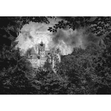 Lais Puzzle - Schloss Bran. Vampir-Residenz von Dracula in den Wäldern von Rumänien in schwarz weiß - 1.000 Teile