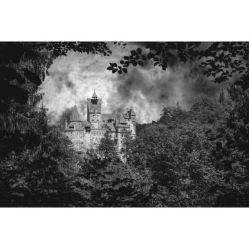 Lais Puzzle - Schloss Bran. Vampir-Residenz von Dracula in den Wäldern von Rumänien in schwarz weiß - 2.000 Teile