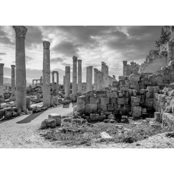 Lais Puzzle - Römische Ausgrabungsstätte in Jerash in schwarz weiß - 1.000 Teile