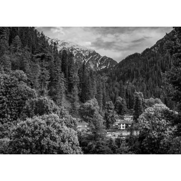 Lais Puzzle - Landschaft in den Bergen. Malerische Aussicht auf die goldene Stunde im Himalaya-Gebirge. Blick auf den Sonnenaufgang im dichten Wald des Himalaya-Dorfes Grahan, Kasol, Himachal Pradesh, Indien in schwarz weiß - 1.000 Teile