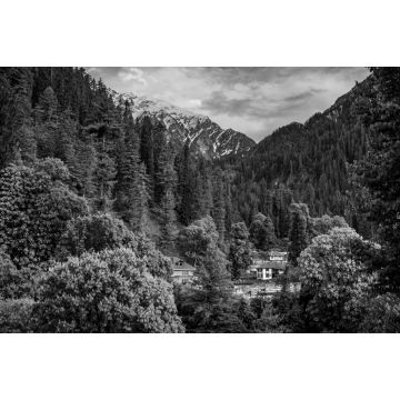 Lais Puzzle - Landschaft in den Bergen. Malerische Aussicht auf die goldene Stunde im Himalaya-Gebirge. Blick auf den Sonnenaufgang im dichten Wald des Himalaya-Dorfes Grahan, Kasol, Himachal Pradesh, Indien in schwarz weiß - 2.000 Teile