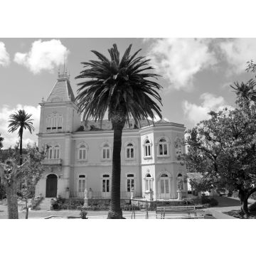 Lais Puzzle - Alte Villa in Alcobaca in schwarz weiß - 500, 1.000 & 2.000 Teile