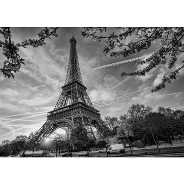 Lais Puzzle - Eiffelturm gegen den Sonnenaufgang in Paris, Frankreich in schwarz weiß - 500, 1.000 & 2.000 Teile