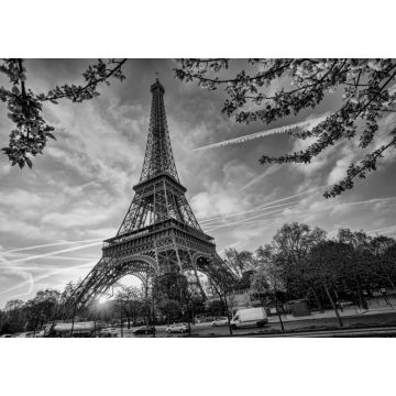Lais Puzzle - Eiffelturm gegen den Sonnenaufgang in Paris, Frankreich in schwarz weiß - 1.000 Teile