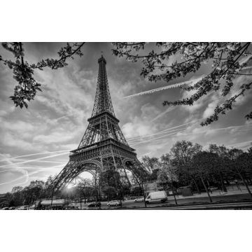 Lais Puzzle - Eiffelturm gegen den Sonnenaufgang in Paris, Frankreich in schwarz weiß - 2.000 Teile