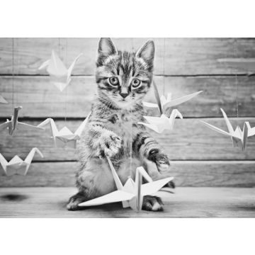 Lais Puzzle - Kleine Katze spielt mit bunten Papierkränen in schwarz weiß - 500, 1.000 & 2.000 Teile