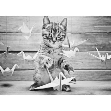 Lais Puzzle - Kleine Katze spielt mit bunten Papierkränen in schwarz weiß - 1.000 Teile