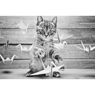Lais Puzzle - Kleine Katze spielt mit bunten Papierkränen in schwarz weiß - 2.000 Teile