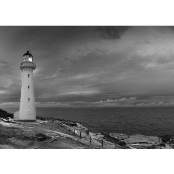Lais Puzzle - Castle Point Leuchtturm Neuseeland in schwarz weiß - 500, 1.000 & 2.000 Teile