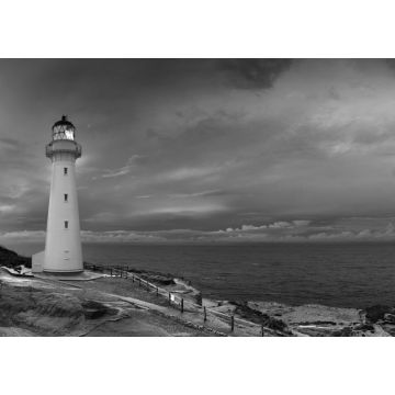 Lais Puzzle - Castle Point Leuchtturm Neuseeland in schwarz weiß - 1.000 Teile
