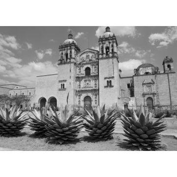 Lais Puzzle - Die Kirche Santo Domingo in der Stadt Oaxaca in schwarz weiß - 1.000 Teile