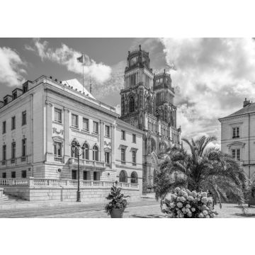 Lais Puzzle - Rathaus mit Kathedrale Sainte Croix d Orleans, Orleans in schwarz weiß - 500, 1.000 & 2.000 Teile