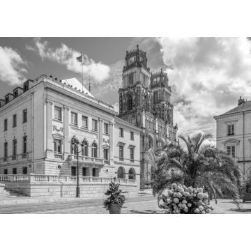 Lais Puzzle - Rathaus mit Kathedrale Sainte Croix d Orleans, Orleans in schwarz weiß - 1.000 Teile