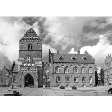 Lais Puzzle - Roskilde - Platz und Altes Rathaus, Dänemark in schwarz weiß - 500, 1.000 & 2.000 Teile