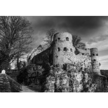 Lais Puzzle - Burgruine in Pappenheim in schwarz weiß - 500, 1.000 & 2.000 Teile