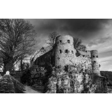 Lais Puzzle - Burgruine in Pappenheim in schwarz weiß - 2.000 Teile
