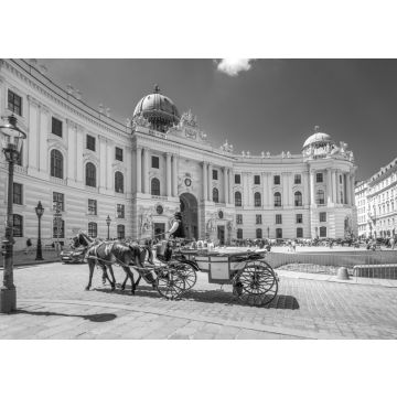 Lais Puzzle - Fiaker vor der Alten Hofburg, Wien, Österreich in schwarz weiß - 500, 1.000 & 2.000 Teile