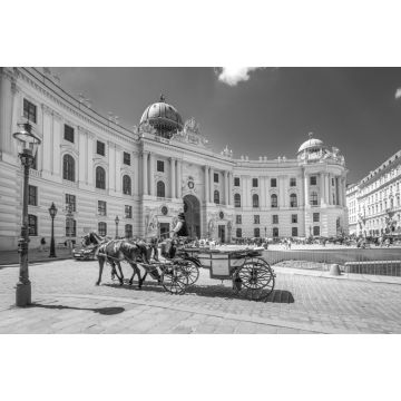 Lais Puzzle - Fiaker vor der Alten Hofburg, Wien, Österreich in schwarz weiß - 2.000 Teile