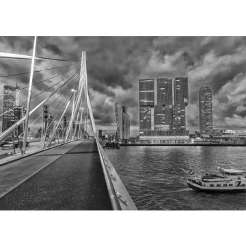 Lais Puzzle - Skyline von Rotterdam. Schöne Aussicht nach Sonnenuntergang in schwarz weiß - 500, 1.000 & 2.000 Teile