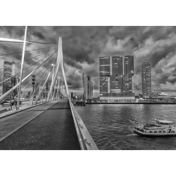 Lais Puzzle - Skyline von Rotterdam. Schöne Aussicht nach Sonnenuntergang in schwarz weiß - 1.000 Teile