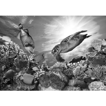 Lais Puzzle - Unterwasser Fische Tropen in schwarz weiß - 500, 1.000 & 2.000 Teile