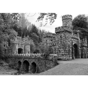 Lais Puzzle - Türme und Eingang von Ballysaggartmore in Waterford in Irland in schwarz weiß - 500, 1.000 & 2.000 Teile