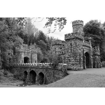 Lais Puzzle - Türme und Eingang von Ballysaggartmore in Waterford in Irland in schwarz weiß - 2.000 Teile
