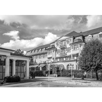 Lais Puzzle - Schlangenbad in schwarz weiß - 500, 1.000 & 2.000 Teile