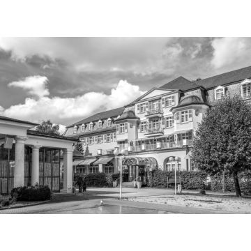 Lais Puzzle - Schlangenbad in schwarz weiß - 1.000 Teile