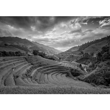 Lais Puzzle - Terrassenreisfeld - Bezirk Mù Căng Chải, Provinz Yen Bai, Vietnam in schwarz weiß - 500, 1.000 & 2.000 Teile