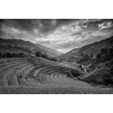 Lais Puzzle - Terrassenreisfeld - Bezirk Mù Căng Chải, Provinz Yen Bai, Vietnam in schwarz weiß - 2.000 Teile