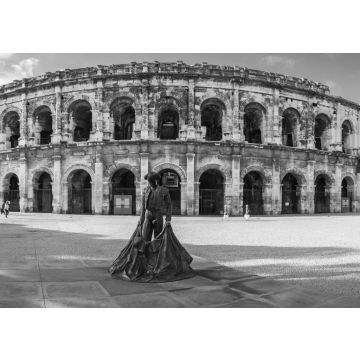 Lais Puzzle - Römische Arena in Arles, Frankreich in schwarz weiß - 500, 1.000 & 2.000 Teile
