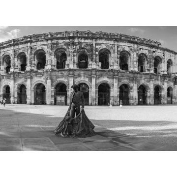 Lais Puzzle - Römische Arena in Arles, Frankreich in schwarz weiß - 1.000 Teile