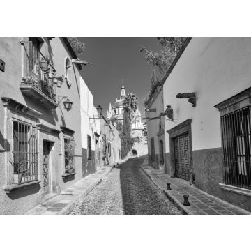 Lais Puzzle - Mexiko, Farbenfrohe Gebäude und Straßen von San Miguel de Allende im historischen Stadtzentrum in schwarz weiß - 500, 1.000 & 2.000 Teile