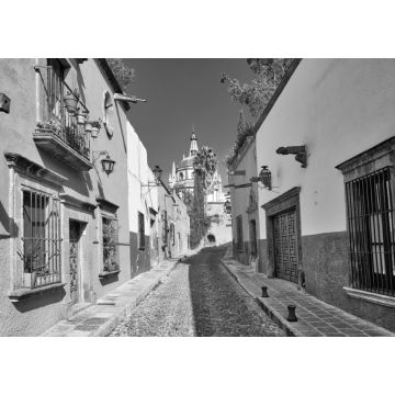 Lais Puzzle - Mexiko, Farbenfrohe Gebäude und Straßen von San Miguel de Allende im historischen Stadtzentrum in schwarz weiß - 1.000 Teile