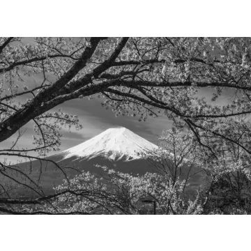 Lais Puzzle - Berg Fuji Sakura Kirschblüte Japan Frühlingszeit in schwarz weiß - 500, 1.000 & 2.000 Teile
