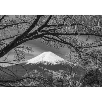 Lais Puzzle - Berg Fuji Sakura Kirschblüte Japan Frühlingszeit in schwarz weiß - 1.000 Teile