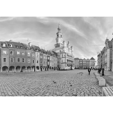 Lais Puzzle - Stadtzentrum und Rathaus - Poznan - Polen in schwarz weiß - 1.000 Teile